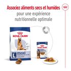 Royal Canin - Croquettes Maxi Adult 5+ pour Grand Chien - 4Kg image number null