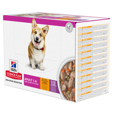 Hill’s Science Plan - Mijoté Pour Chien Adulte Small & Mini Au Poulet Et Légumes Ajoutés  - 12x80g