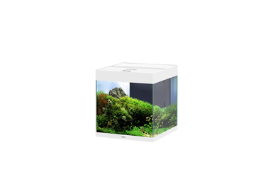 Ciano - Aquarium Emotions Pro 40 Blanc - 52L