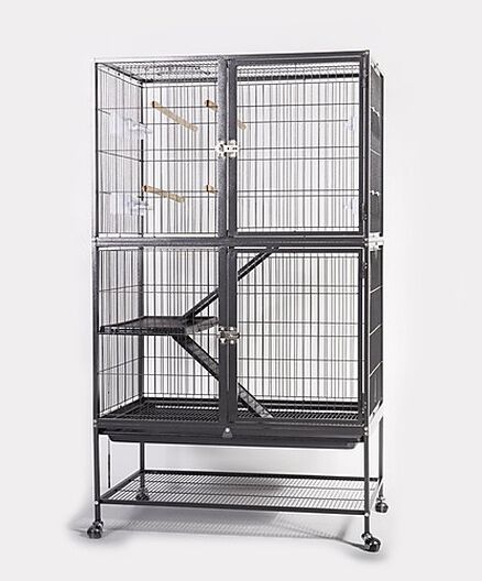 Cage piège animal animaux nuisibles Photo Stock - Alamy