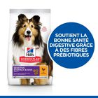 Hill's Science Plan - Adult Sensitive Stomach & Skin Croquettes Pour Chien Au Poulet  - 12kg image number null