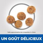 Hill's Science Plan - Adult Perfect Weight Small&Mini Croquettes Pour Petit Chien Au Poulet  - 1,5kg image number null