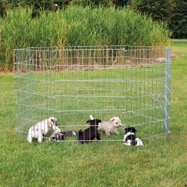 Trixie - Enclos pour petits chiens galvanisé - 154 x 91 cm