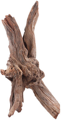 Sera - Rascine Bois Naturel Drift Wood M