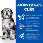 Hill's Science Plan - Perfect Weight & Active Mobility Croquettes Chien Adulte Medium Poulet  - 12kg image number null