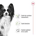 Royal Canin - Croquettes  X-Small pour Chien Adulte de Petite Taille - 1,5Kg image number null