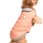 Bobby - Manteau Contraste Corail pour Chiens - XL/52cm image number null