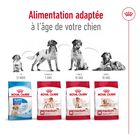 Royal Canin - Croquettes Medium Adult image number null