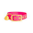 Pop Dog - Collier à Œillet Glouton Rose pour Chien - S image number null