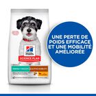 Hill's Science Plan - Perfect Weight & Active Mobility Aliment Pour Petit Chien Adulte Poulet - 1,5kg image number null