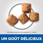 Hill's Science Plan - Adult Light Croquettes Pour Grand Chien Au Poulet  - 18kg image number null