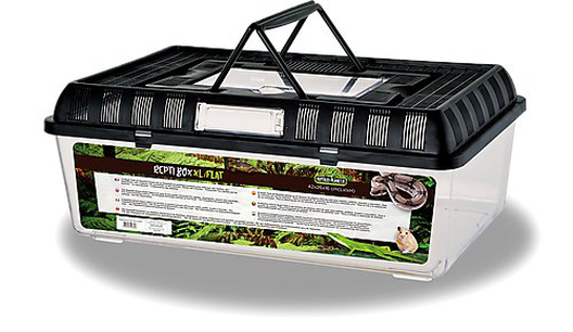 Plat D'alimentation En Plastique Léger Pour Reptiles, Bassin D