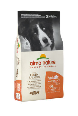 Almo Nature Holistic - Adulte Moyenne Race Saumon Frais - Sac 12 Kg