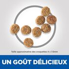 Hill's Science Plan - Adult Light Small & Mini Croquettes Pour Petit Chien Au Poulet  -  1,5kg image number null