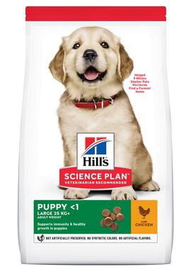 Hill's Science Plan - Puppy Croquettes Pour Chiot De Grande Taille Au Poulet  - 12kg