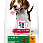 Hill's Science Plan - Puppy Croquettes Pour Chiot Au Poulet  - 12kg image number null