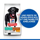 Hill's Science Plan - Perfect Weight & Active Mobility Croquettes Chien Adulte Grande Race Poulet -12kg image number null