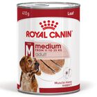 Royal Canin - Pâtée en Mousse Medium Adult M - 410g image number null