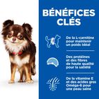 Hill's Science Plan - Adult Light Small & Mini Croquettes Pour Petit Chien Au Poulet  -  1,5kg image number null