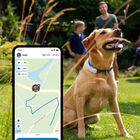 Tractive - Traceur GPS DOG 4 pour Chiens - Blanc image number null