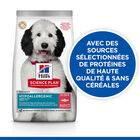 Hill's Science Plan - Hypoallergenic Adult Croquettes Pour Chien Adulte De Grande Taille Saumon -12kg image number null