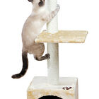 Trixie - Arbre à chat Badalona, 109 cm, beige image number null