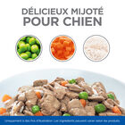 Hill’s Sciene Plan - Healthy Cuisine Mijotés Pour Chien Adulte Au Poulet Et Légumes Ajoutés  - 12x90g image number null