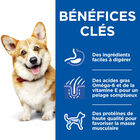 Hill’s Science Plan - Mijoté Pour Chien Adulte Small & Mini Au Poulet Et Légumes Ajoutés  - 12x80g image number null