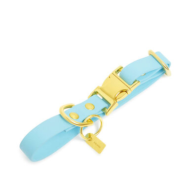 Pop Dog - Collier Dragueur Bleu pour Chien - L