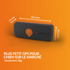 Weenect - Traceur GPS Noir Edition 2023 pour Chiens - L/XL image number null