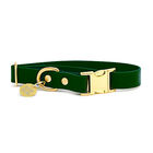 Pop Dog - Collier Elégant Vert pour Chien - XS image number null