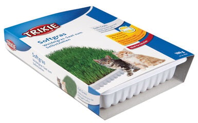 Trixie - Bac d'herbe tendre bol - env. 100 g