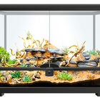 Repto - Terrarium Universel Terra Earth S - 51x25x30cm image number null