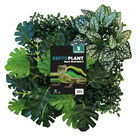 Repto - Décoration Repto Plant Back Wall Mat 25x25 Cm 3 image number null