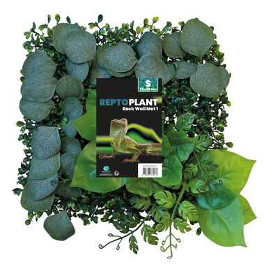 Repto - Décoration Repto Plant Back Wall Mat 25x25 Cm 1