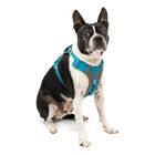 Kurgo - Harnais "Journey Air" Bleu pour Chiens - XL image number null