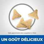 Hill's Science Plan - Adult Hairball Indoor Croquettes Pour Chat D'intérieur Au Poulet -  3kg image number null