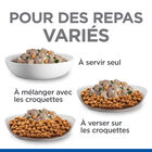 Hill’s Sciene Plan - Healthy Cuisine Mijotés Pour Chien Adulte Au Poulet Et Légumes Ajoutés  - 12x90g image number null