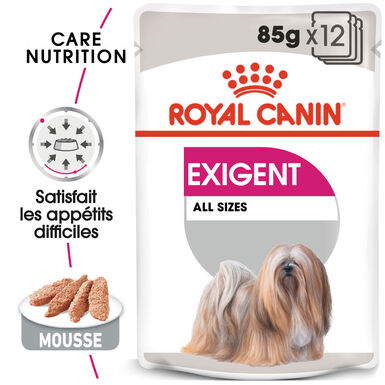 Royal Canin - Pâtée Exigent en Mousse pour Chien - 12x85g