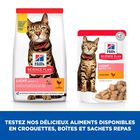 Hill's Science Plan - Adult Light Croquettes Pour Chat Au Poulet -  3kg image number null