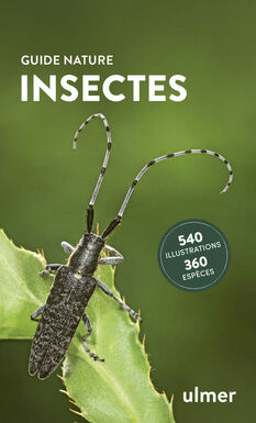 Insectes - Guide nature