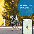 Tractive - Traceur GPS DOG 4 pour Chiens - Marron image number null