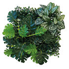 Repto - Décoration Repto Plant Back Wall Mat 25x25 Cm 3 image number null