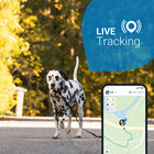 Tractive - Traceur GPS DOG 4 pour Chiens - Marron image number null