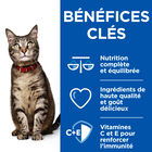 Hill’s Science Plan Heathy Cuisine Mijotés Pour Chat Adulte Au Poulet Et Légumes Ajoutés  - 12x80g image number null