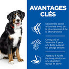 Hill's Science Plan - Adult Croquettes Pour Grand Chien A L'agneau Et Riz  - 12kg image number null