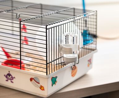 Ferplast - Cage Criceti 9 Space pour Hamsters