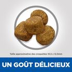 Hill's Science Plan - Adult Light Croquettes Pour Chien Au Poulet  -  2,5kg image number null