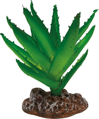 Repto - Décoration Plante Aloe Vera - Réptiles