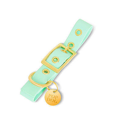 Pop Dog - Collier à Œillet Swimmy Vert pour Chien - XS